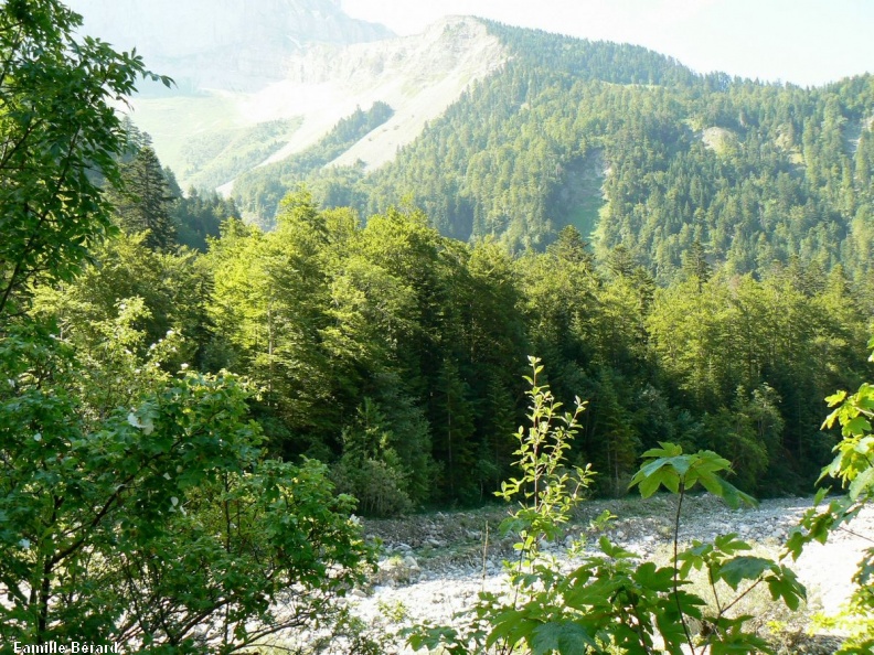lauzon_358.jpg