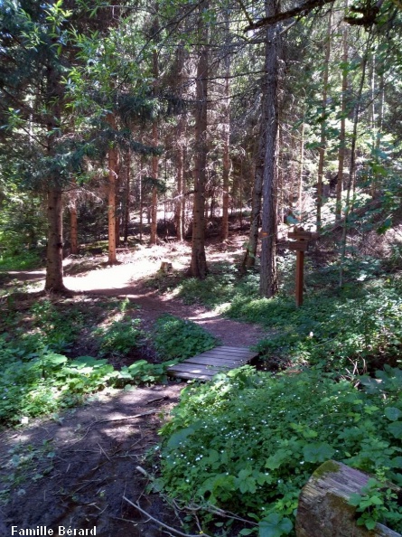 Le sentier en forêt